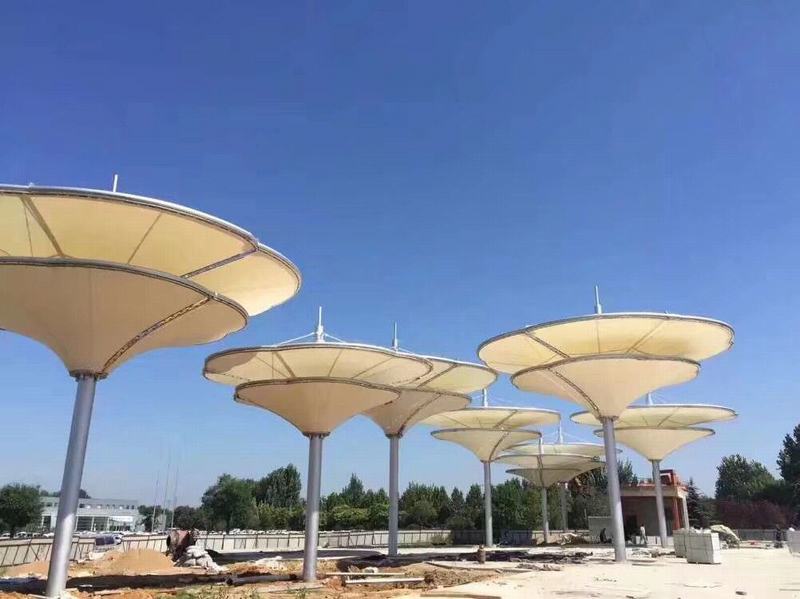 Ĥ�Y�����^